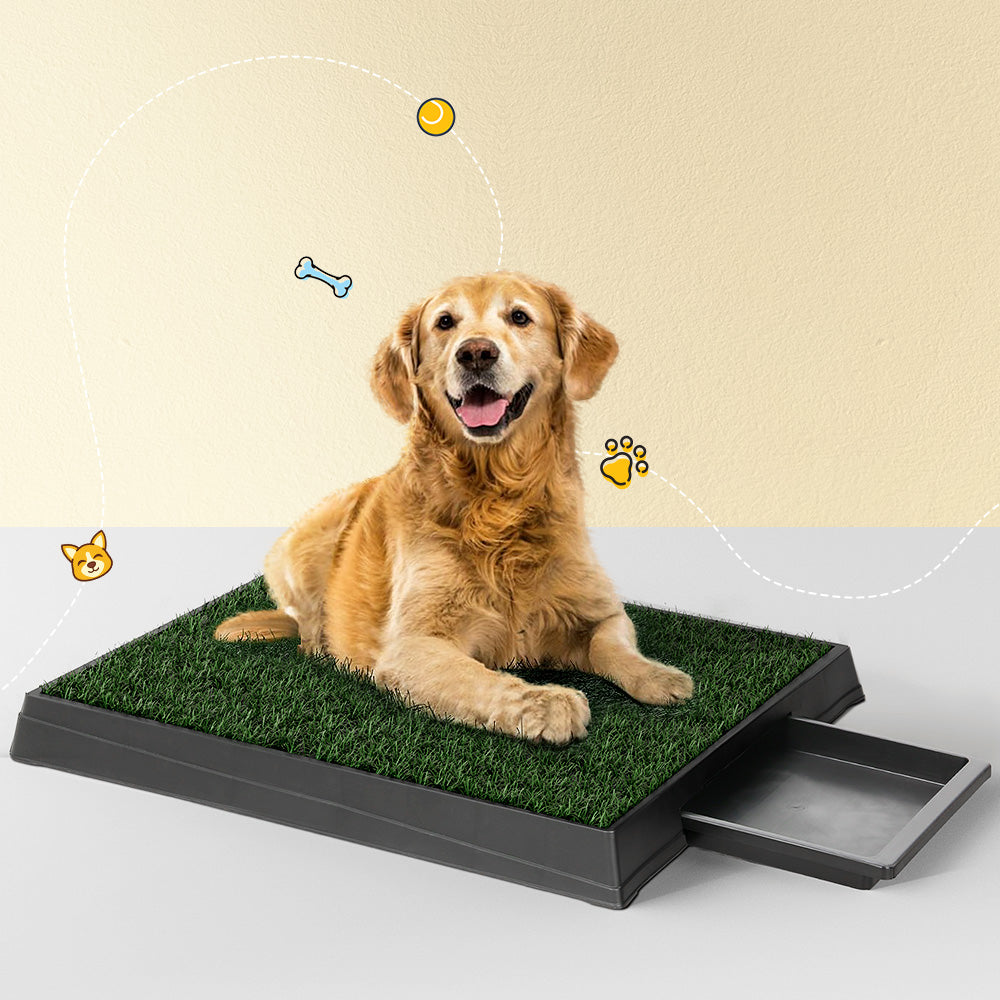 I.PET PORTABLE PET TOILET TRAINING GRASS TRAY