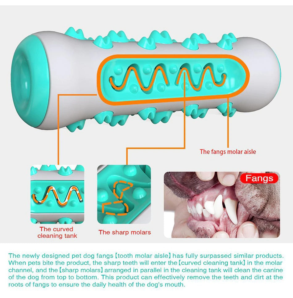 NON TOXIC DOG DENTAL CHEW TOY