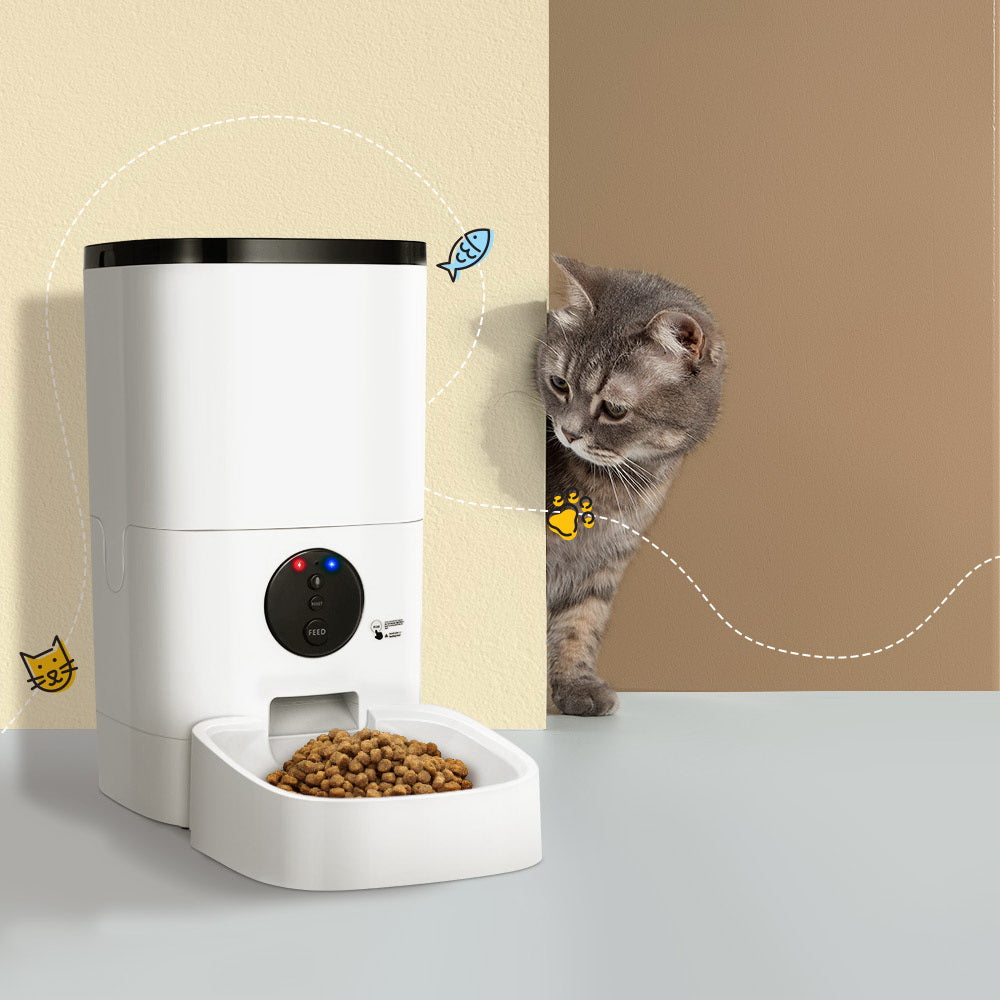 PET ACCESSORIES
