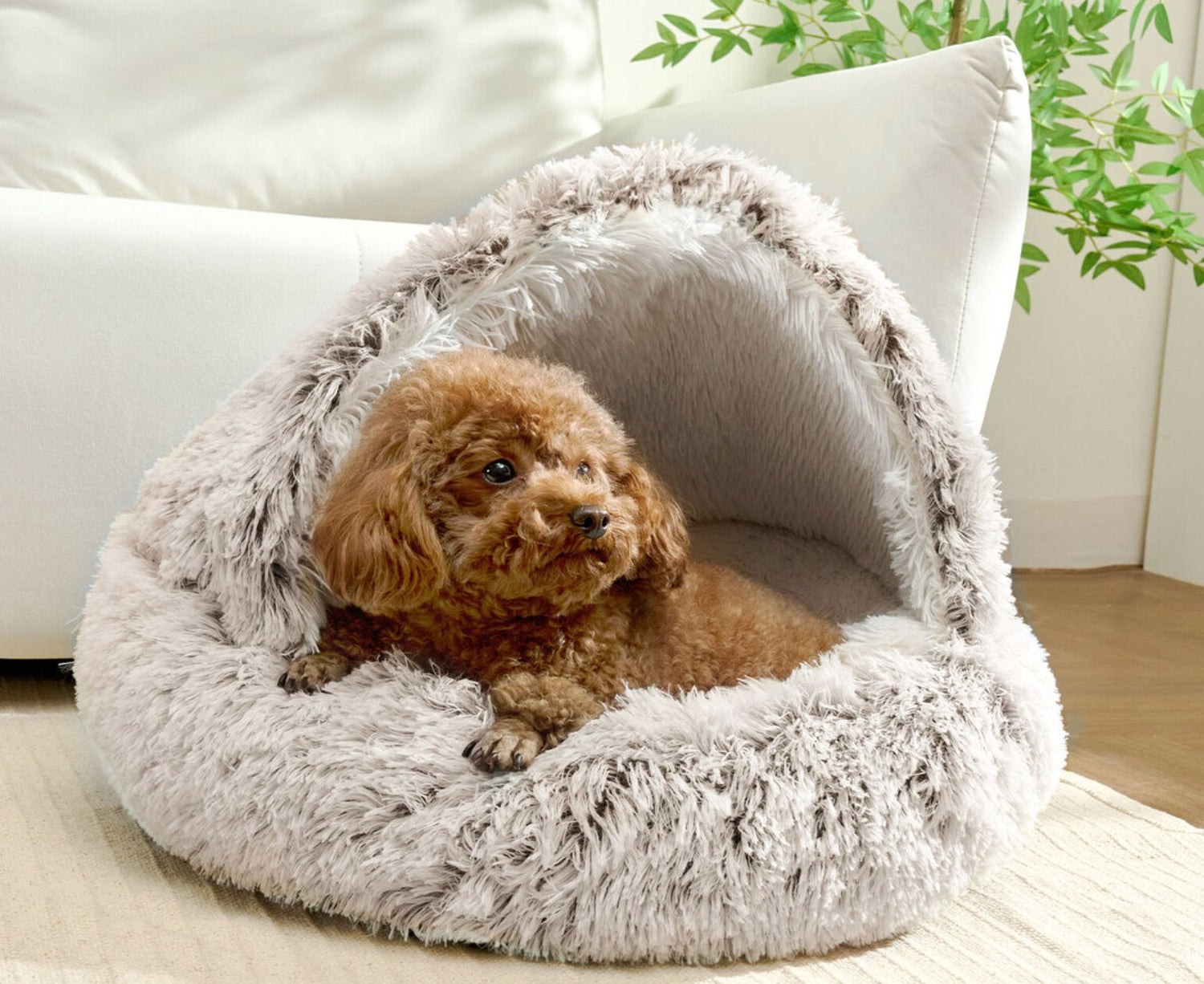 PET BEDS