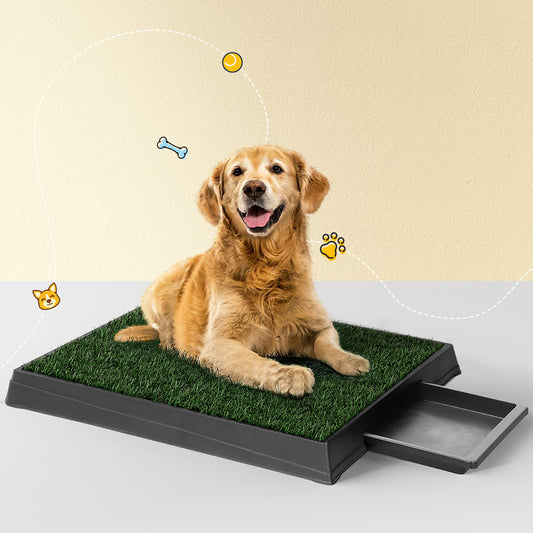 I.PET PORTABLE PET TOILET TRAINING GRASS TRAY